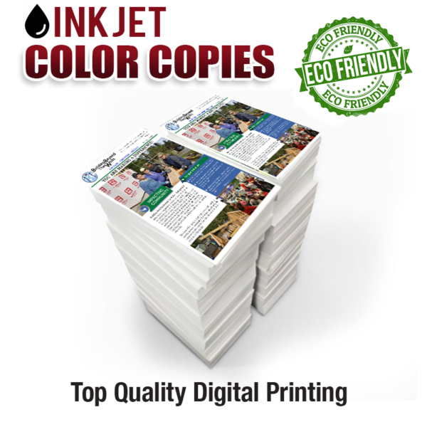 11x17 ECO-PRINTS - Image 2